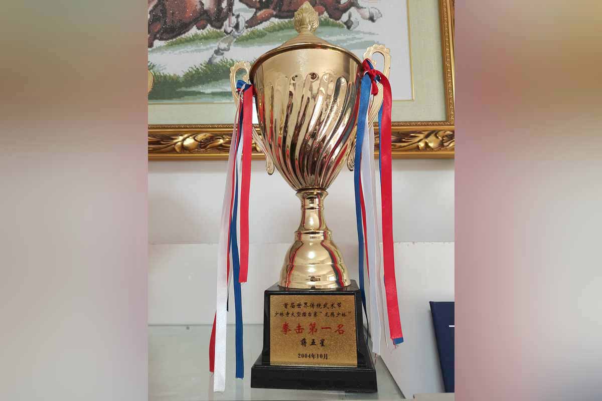 首屆世界傳統(tǒng)武術(shù)節(jié)少林寺大型擂臺賽“龍騰少林”拳擊第一名蔣五星