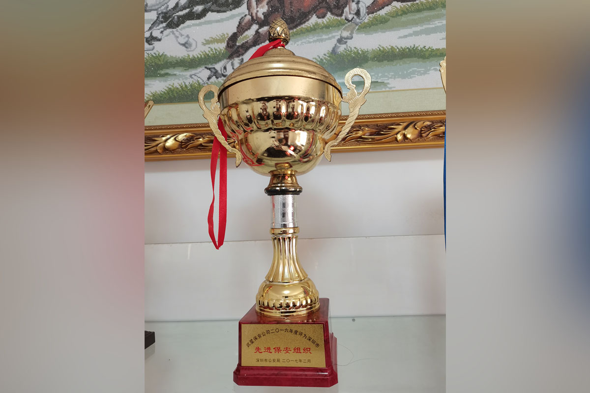 武星保安公司2016年度評為深圳市先進保安組織